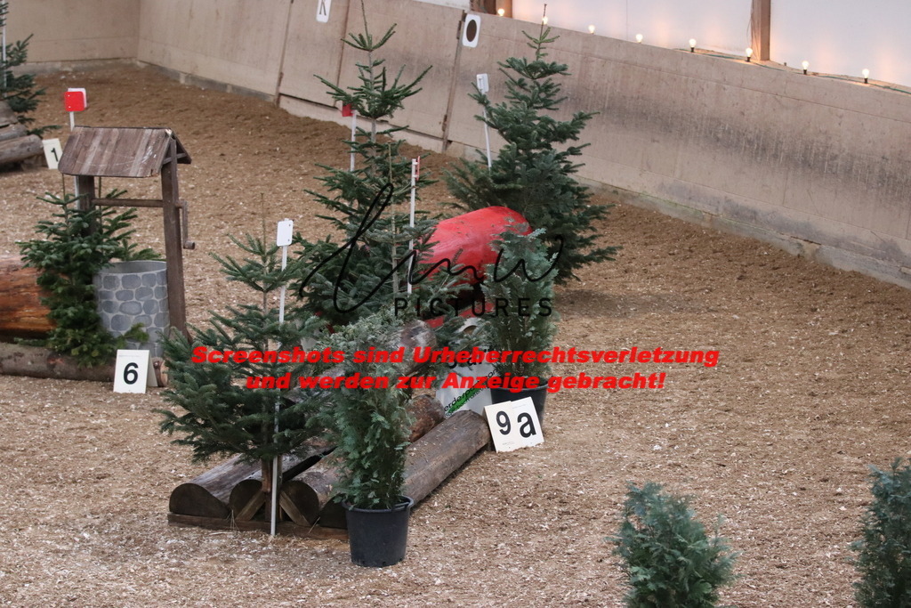 IMG_9529 | lmwpictures - Realisiert mit Pictrs.com