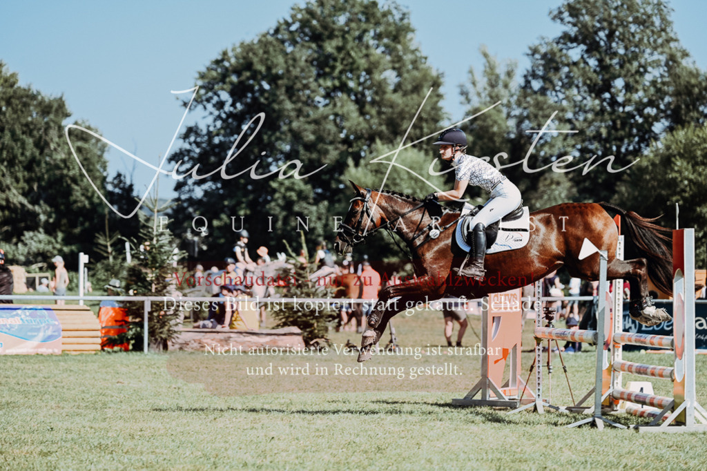 DSC_6756 | Pferde- und Turnierfotografie in Westsachsen. Pferdeportraits, Auftragszeichnungen und intuitive Kunst.