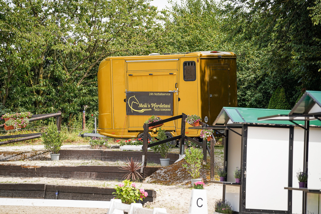 DSC04195 | Pferdegrafie