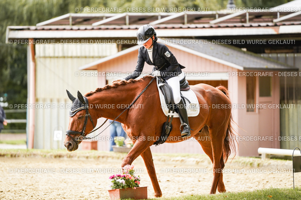 DSC01925 | Pferdegrafie