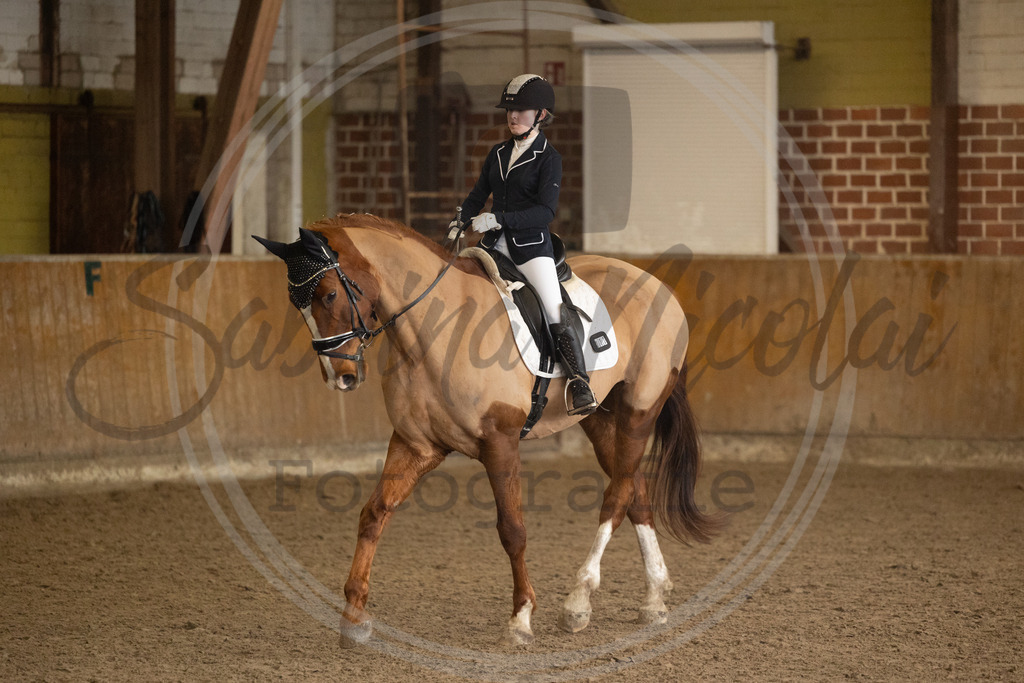 994A8868 | sabrinanicolaifotografie - Realisiert mit Pictrs.com