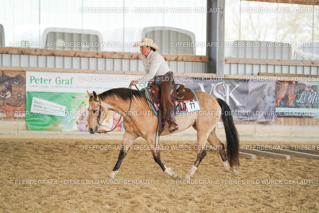 DSC01876 | Pferdegrafie