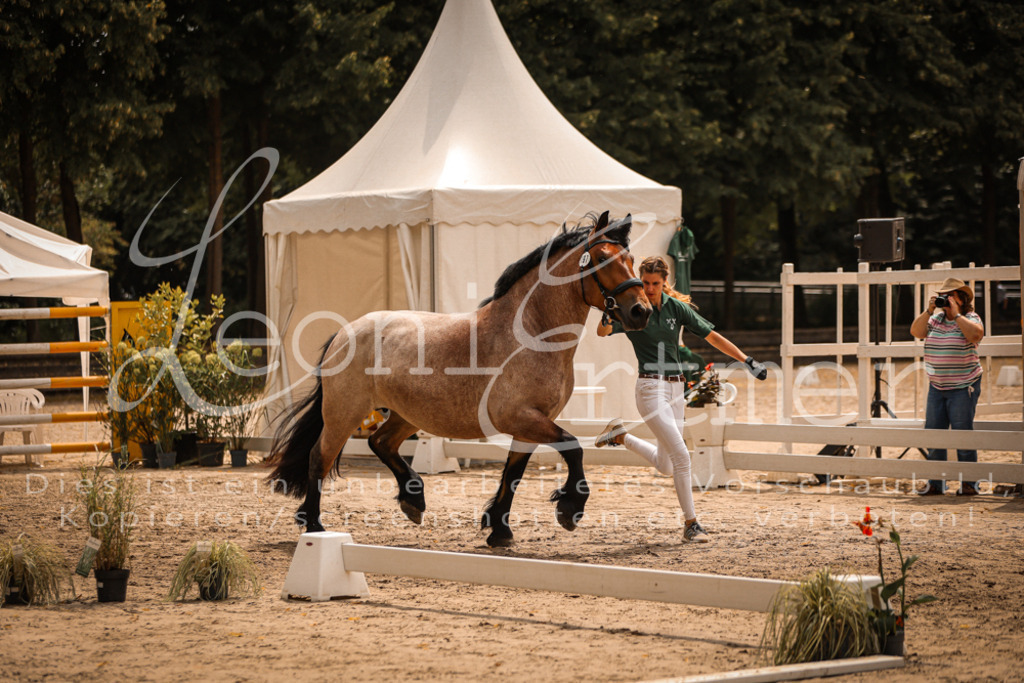 SaSieger00017 | Leoni Ertmer Photography - Realisiert mit Pictrs.com