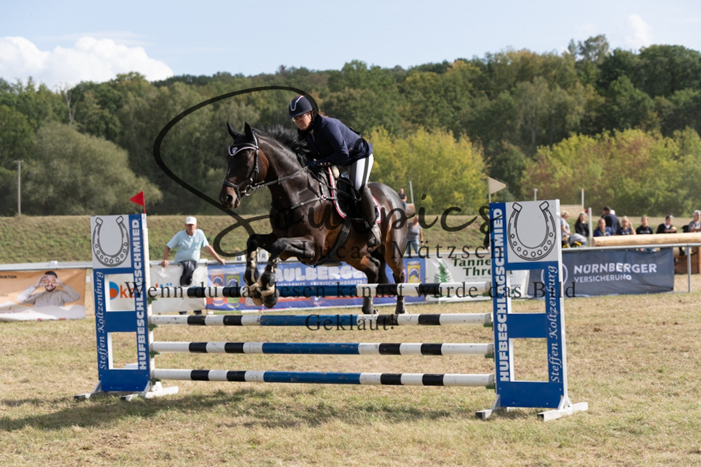 A7V09339 | Pferdefotograf