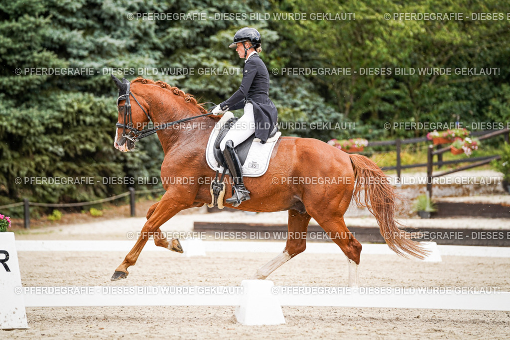 DSC05759 | Pferdegrafie