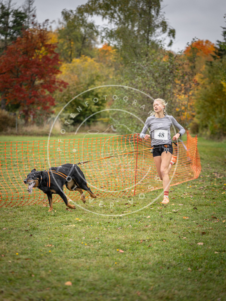 Pfotenfotografie_DV3A2431 | Hundefotografie, Tierfotograf, Pfotenfotografie, Fotoshooting Hund, Hunde Portrait, Hundesport, Hundeportraits, Heideshooting, Hunde, Sportfotograf, Hundefotograf, Turnierhundsport, THS,  - Realisiert mit Pictrs.com