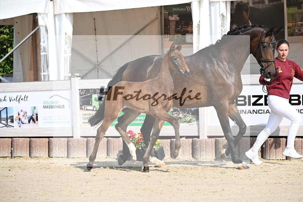 Sane x Fuerst Romancier_SF_Fritz_12250073 | hf-fotografie - Realisiert mit Pictrs.com