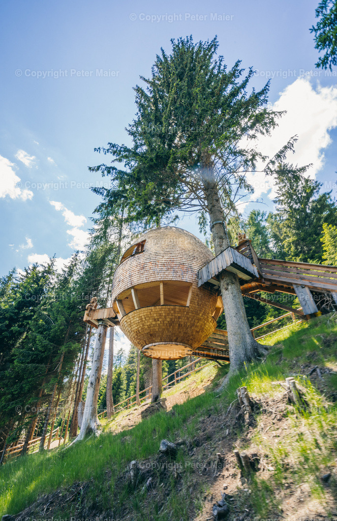 Malga_Priu_Karnische_Milchstrasse_2020-48 | piet_flosse