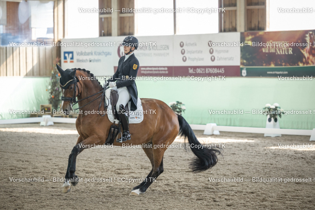 _D5A9533 | Emotionale Pferde- & People-Fotografie rund um Heidelberg, Leimen & Umgebung. Natürliche Fotos von Pferd, Mensch & Familie. Jetzt Termin sichern!