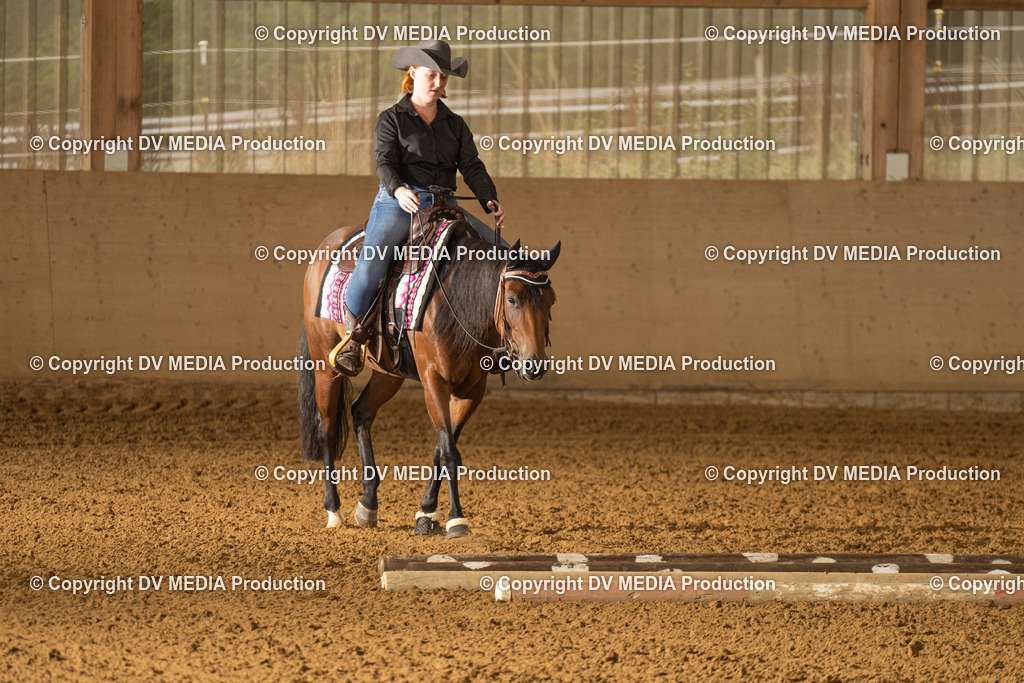 LAU00552 | dv-media-shop - Realisiert mit Pictrs.com