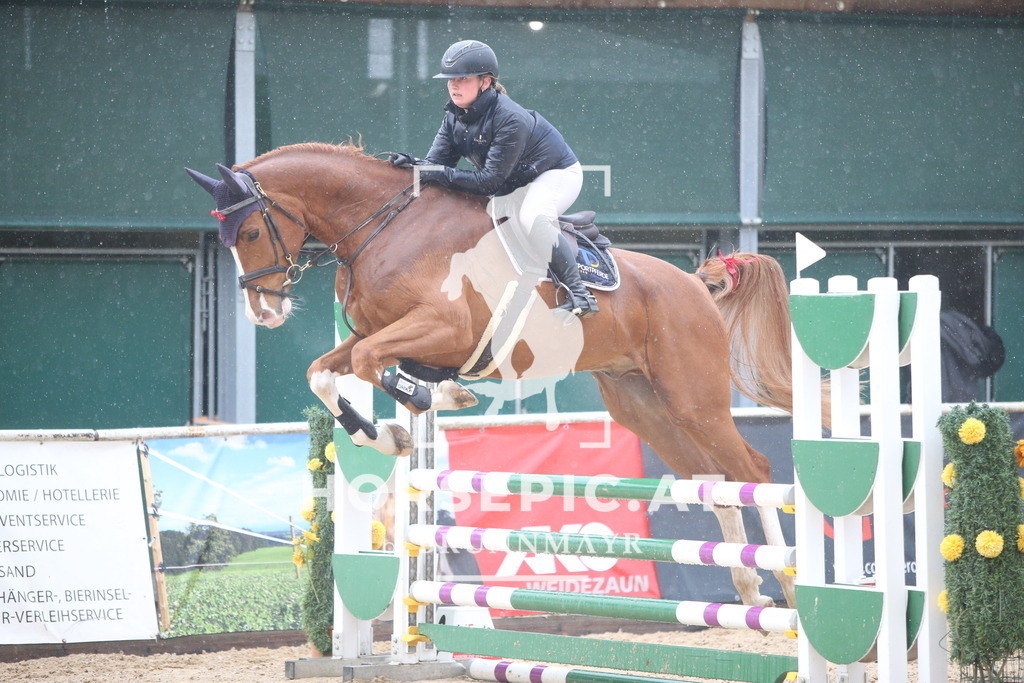 AS8V2144 | Willkommen bei Brunnmayr - Design & Fotografie – Ihrem Spezialisten für Reitturniere und Pferdeveranstaltungen in Oberösterreich, Salzburg und Bayern! Seit über 17 Jahren sind wir leidenschaftlich dabei.