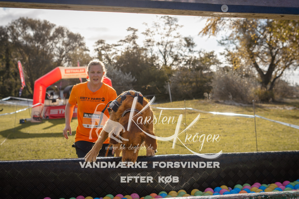 0955_ZZ98957 | kk-dogfotos