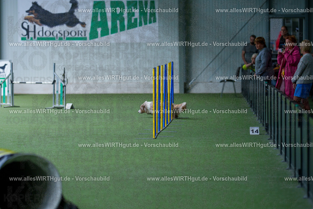 @allesWIRTHgut_Tierfotografie - www.allesWIRTHgut.de - 2604251218-7R501328 | Professionelle Tierfotografie in Mönchengladbach von Daniel Wirth (allesWIRTHgut). Liebevolle & natürliche Bilder von Hunden & Katzen für unvergessliche Erinnerungen.