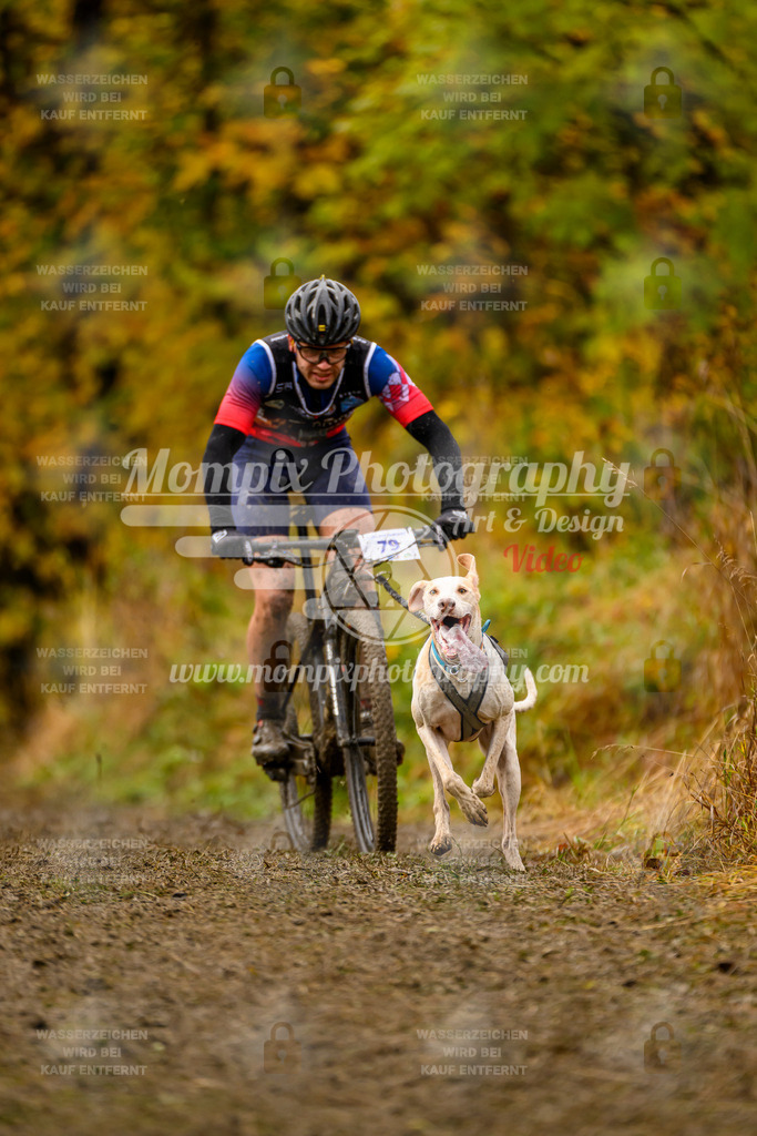 MompixPhotography_ICF_WC_2024_SA_Bike_-8 | PayLife