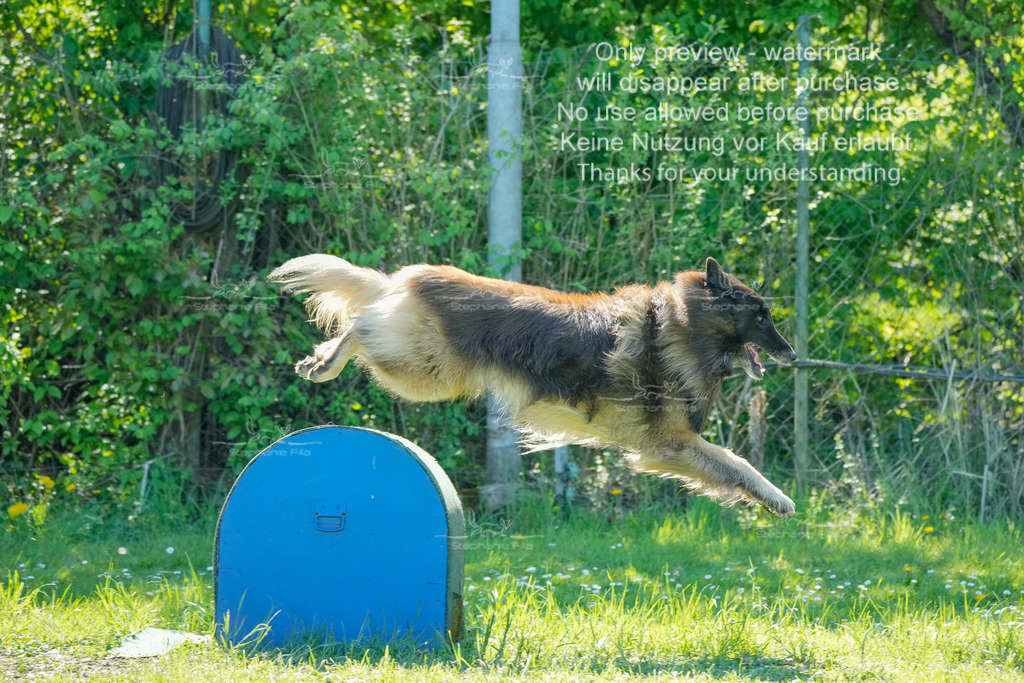 Sa_VK3_03-39 | stephaniefillaphotographie - Realisiert mit Pictrs.com