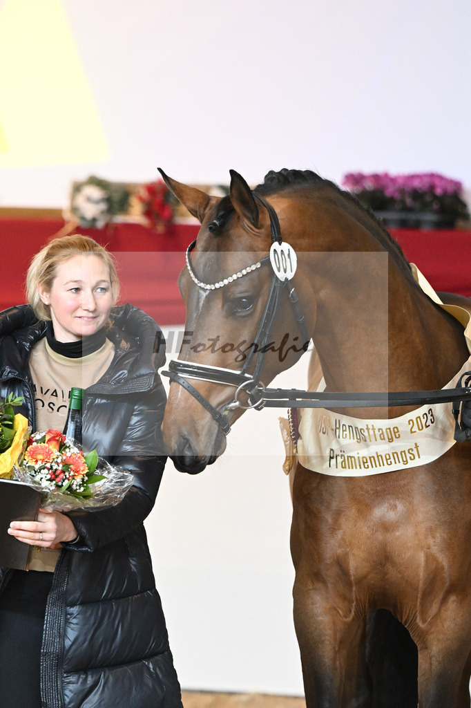 Kat-Nr. 1 Alaba_Wilbers_1231674 | hf-fotografie - Realizzato con Pictrs.com