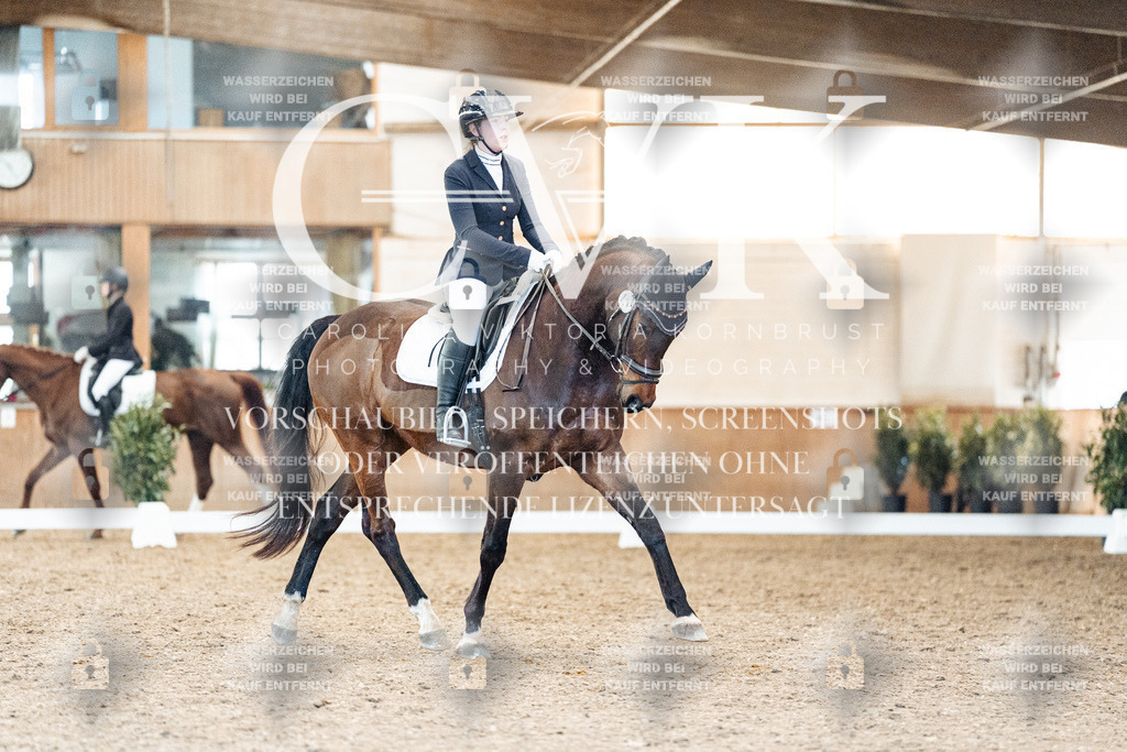 CK908467 | Turnierfotografie Pferdefotografie Trier Rheinland-Pfalz Pferdesport Reitsport Tierfotografie Sportfotografie Pferdevideo Pferdevideografie Equestrianvideography equestrianphotography  - Realisiert mit Pictrs.com