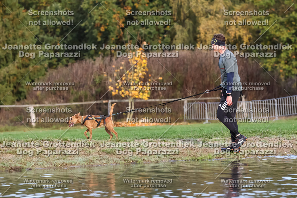 Dog Paparazzi - Strongdog 10-25-7029 | Dog Paparazzi Jeanette Grottendiek Fotografie & Videografie