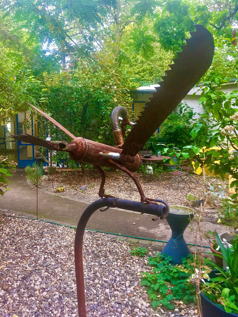 Cubus_HeinzJosefKlaßen_22 | Bildergalerie von Sport-Ereignissen aber auch von weiteren spannenden Dingen - nicht nur vom Niederrhein. In Anlehnung an den bekannten Spruch von Hanns Dieter Hüsch heißt das Motto: "Niederrhein ist überall".  - Realisiert mit Pictrs.com