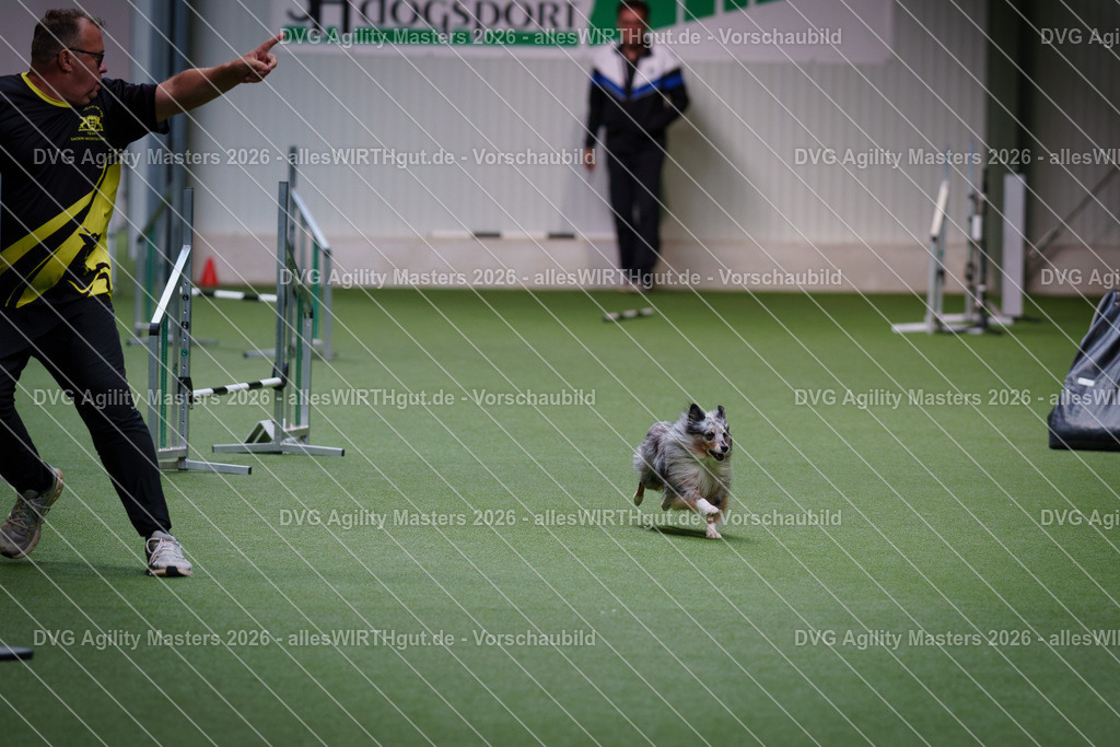 allesWIRTHgut_Tierfotografie-DVG_Agility_Masters_2026-12_09-7R507423 | Professionelle Tierfotografie in Mönchengladbach von Daniel Wirth (allesWIRTHgut). Liebevolle & natürliche Bilder von Hunden & Katzen für unvergessliche Erinnerungen.