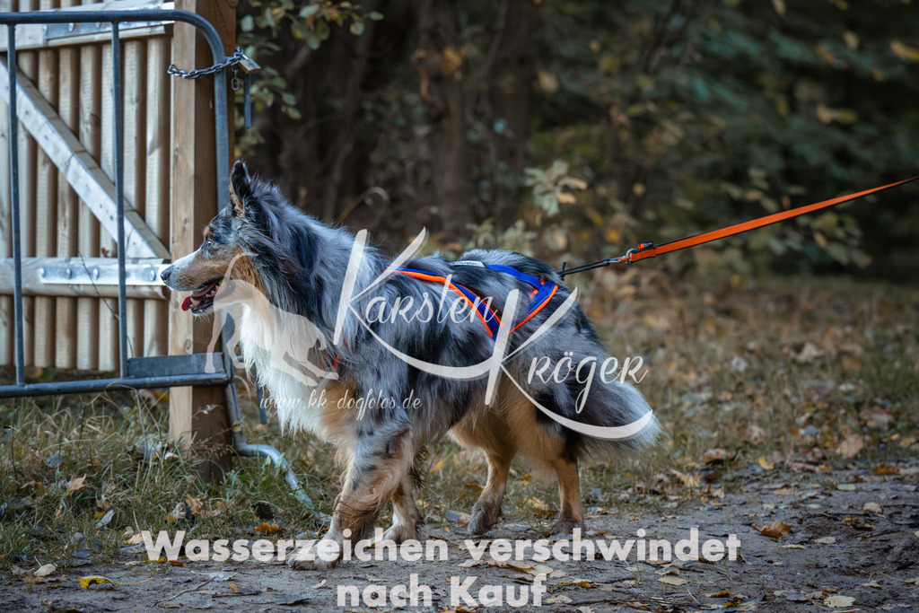 0849_ZZ96074 | kk-dogfotos