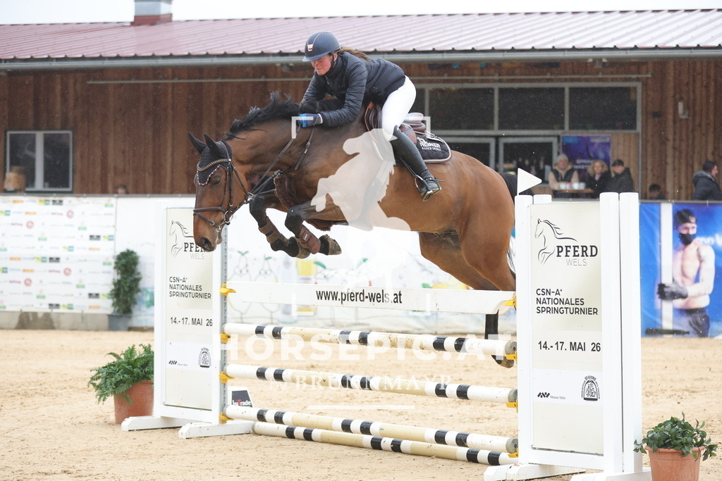 0P6A0214 | Willkommen bei Brunnmayr - Design & Fotografie – Ihrem Spezialisten für Reitturniere und Pferdeveranstaltungen in Oberösterreich, Salzburg und Bayern! Seit über 17 Jahren sind wir leidenschaftlich dabei.