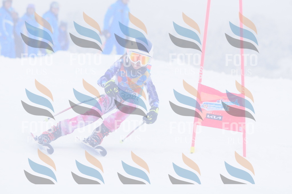 C3506 | holidayphoto