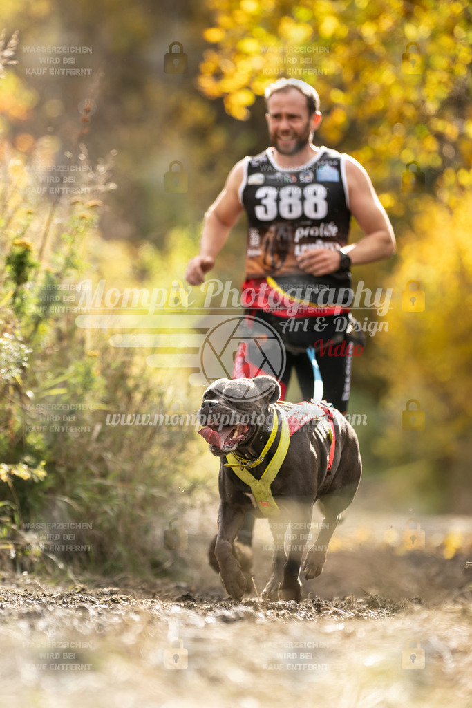 MompixPhotography_ICF_WC_2024_SA_Run_-342 | PayLife