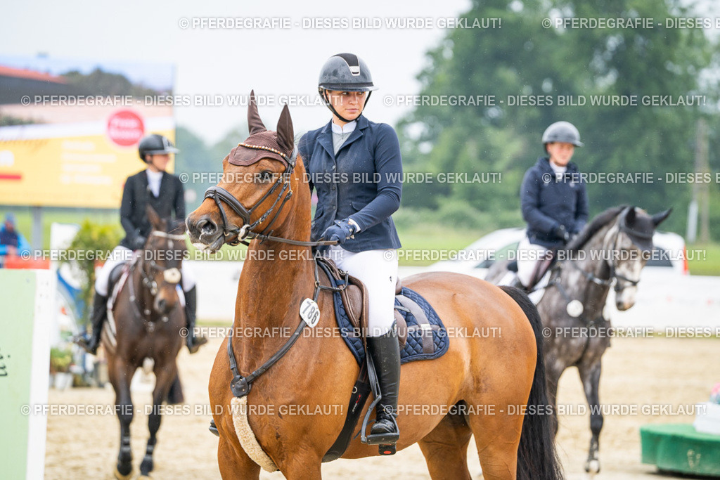 DSC01023 | Pferdegrafie