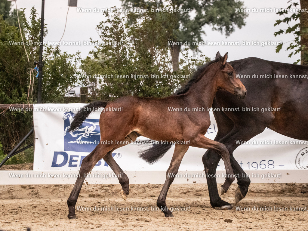 A10I5922 | photographylinaismer - Realisiert mit Pictrs.com