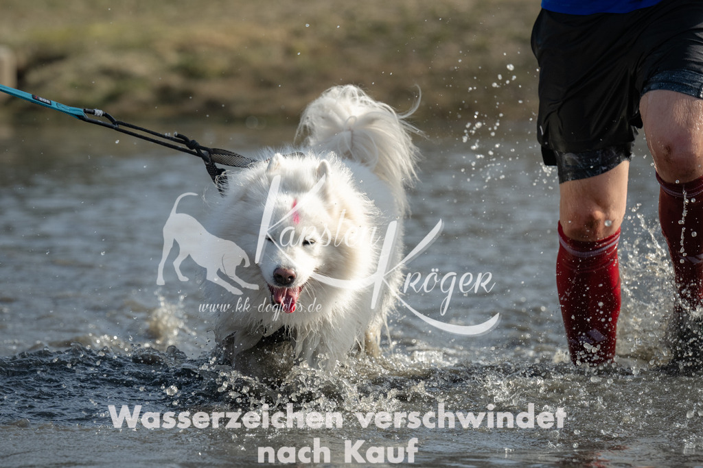 1255_ZZ92970 | kk-dogfotos