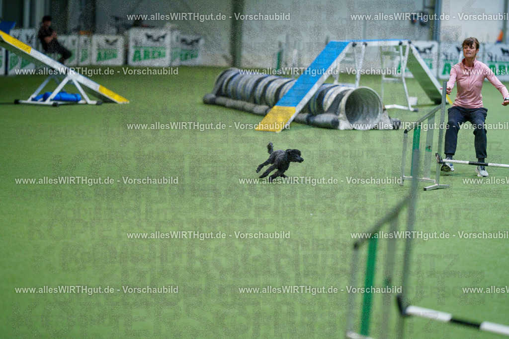 @allesWIRTHgut_Tierfotografie - www.allesWIRTHgut.de - 2604250858-7R508248 | Professionelle Tierfotografie in Mönchengladbach von Daniel Wirth (allesWIRTHgut). Liebevolle & natürliche Bilder von Hunden & Katzen für unvergessliche Erinnerungen.
