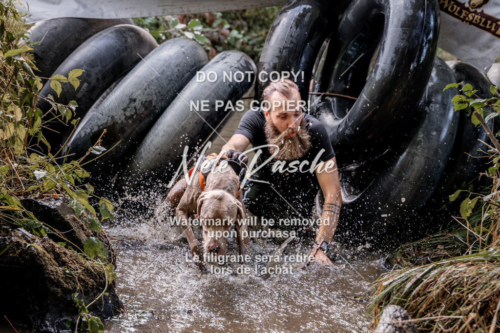 nelerasche_Hunsrück2026_Sa1400-1500_286 | nelerasche