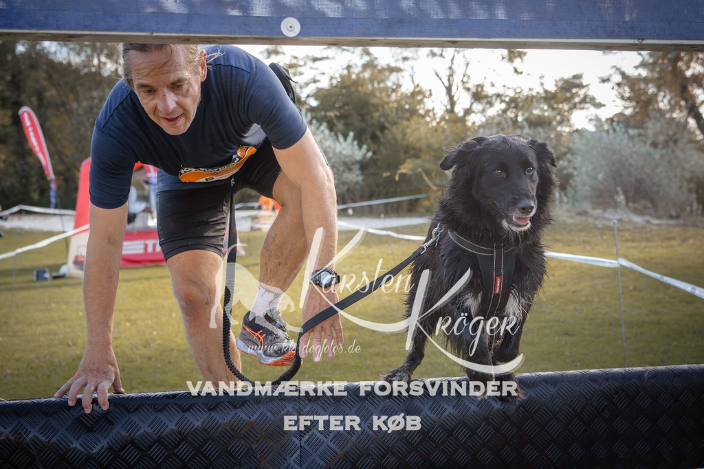 1218_ZZ95361 | kk-dogfotos