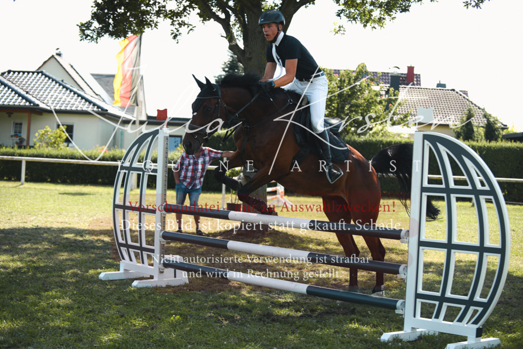 DSC_6986 | Pferde- und Turnierfotografie in Westsachsen. Pferdeportraits, Auftragszeichnungen und intuitive Kunst.