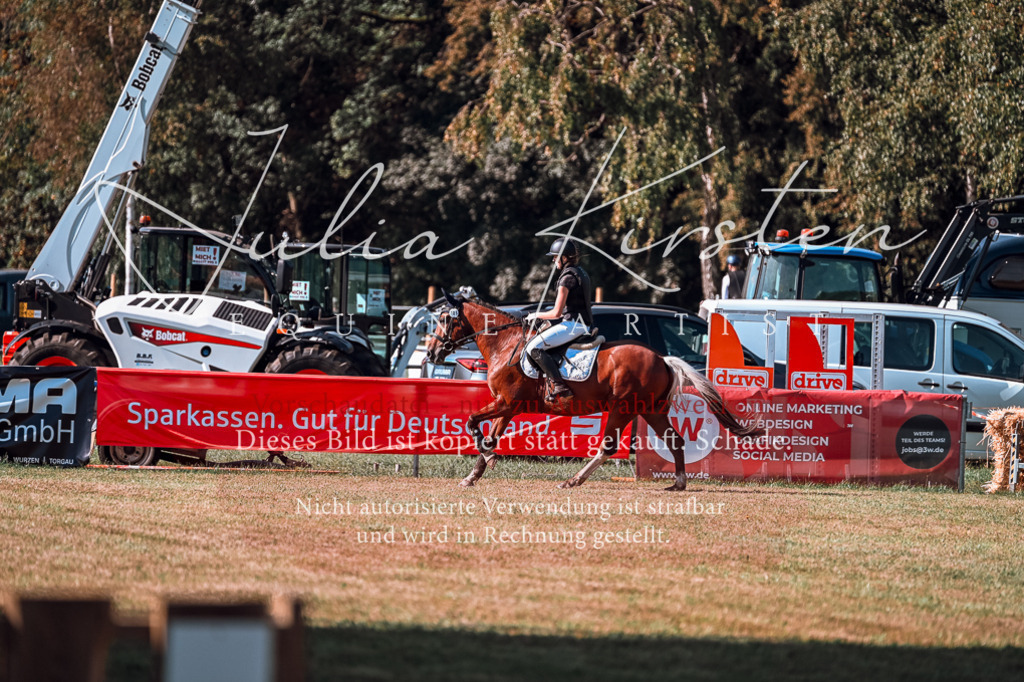 DSC_0920 | Pferde- und Turnierfotografie in Westsachsen. Pferdeportraits, Auftragszeichnungen und intuitive Kunst.