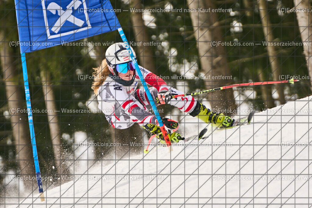 ALP7678_SkiBezirksMeisterschaft_Hollenstein_Hopfgartner Sarah | (C)FotoLois.com, Alois Spandl, SkiBezirksMeisterschaft NÖ-West und Bambini/Kindercup-RTL, SC Hollenstein am Königsberg, Sa 11. Feb. 2023.