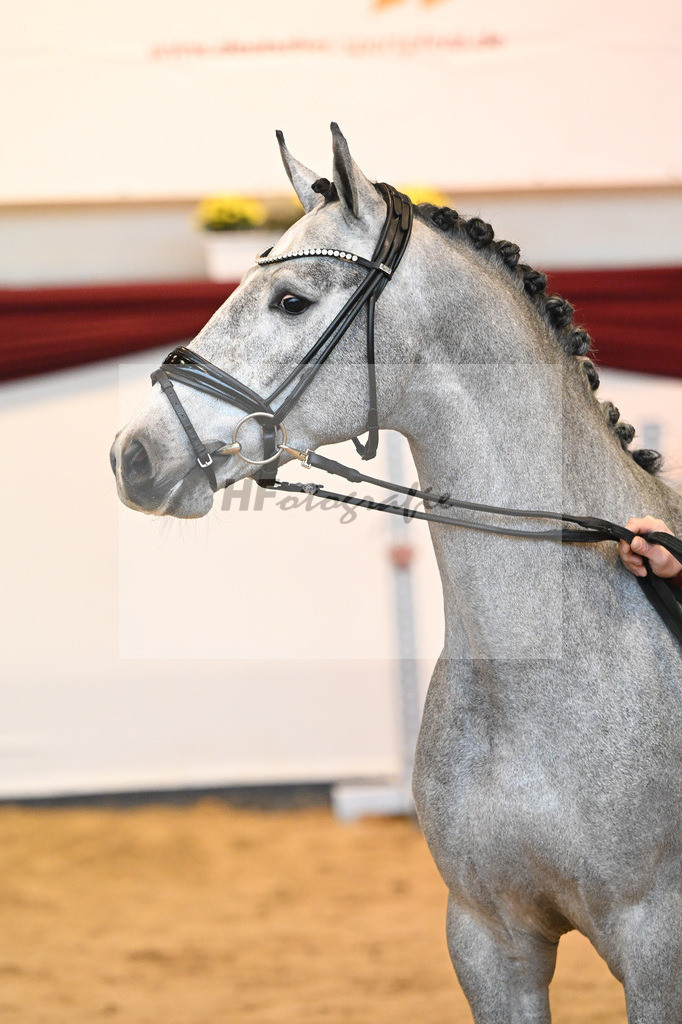 Kat-Nr. 12 v. Cabrio v d Heffinck_Beckmann_66221125 | hf-fotografie - Realizzato con Pictrs.com