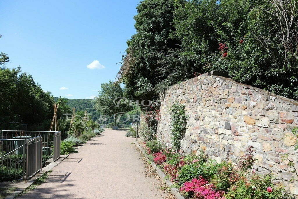 Burg Klopp-7870 | Im Burggarten der Burg Klopp werden nicht nur Zierpflanzen sondern auch Nutzpflanzen und Gemüse angebaut. - Realisiert mit Pictrs.com