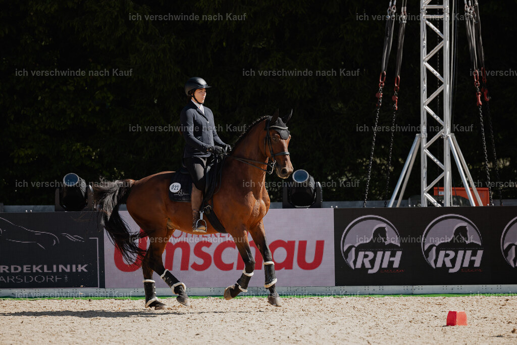 Nadine22_FHC2025-54 | working equitationturnier fotograf videograf stoibphotography marixx film working equitation deutschland reitsport turnierfotografie eventfotografie equestrian events