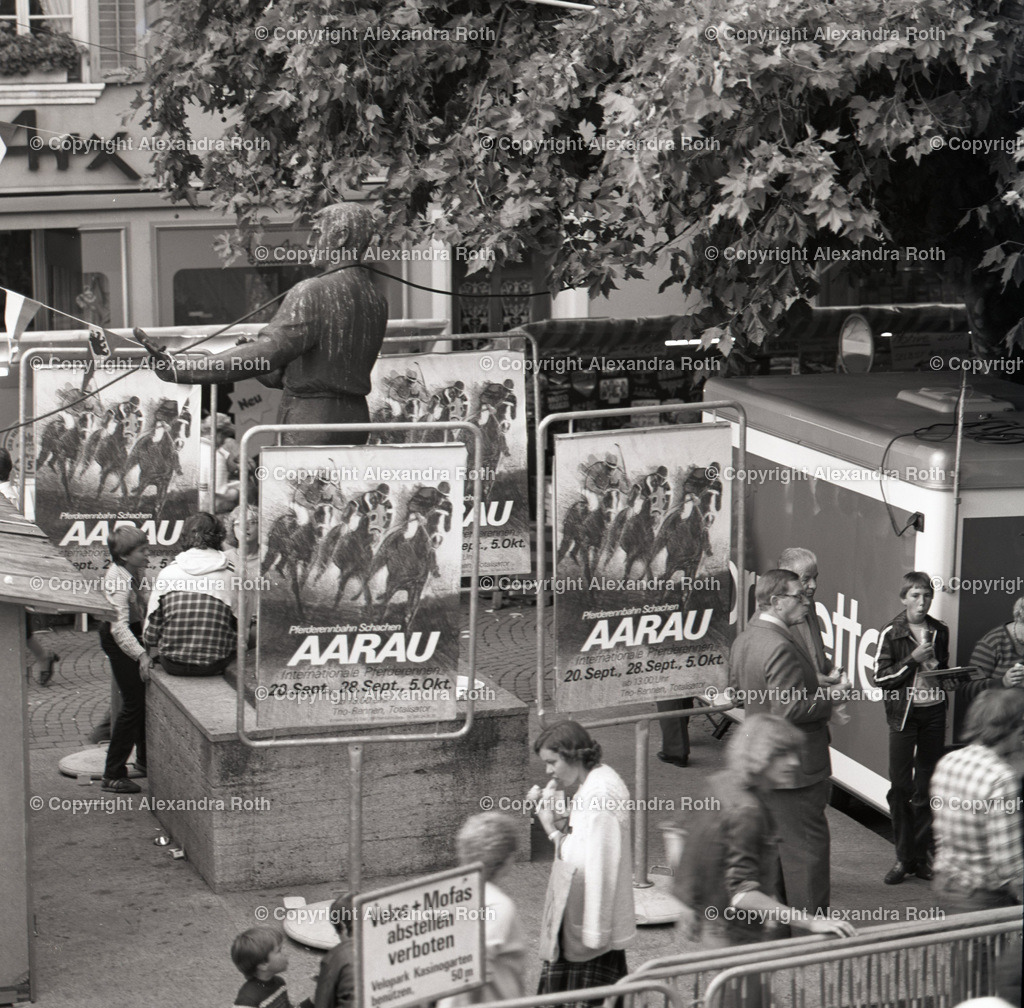 Aarau_0610 | onlineshop - Realisiert mit Pictrs.com