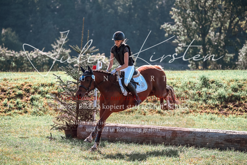 DSC_0925 | Pferde- und Turnierfotografie in Westsachsen. Pferdeportraits, Auftragszeichnungen und intuitive Kunst.