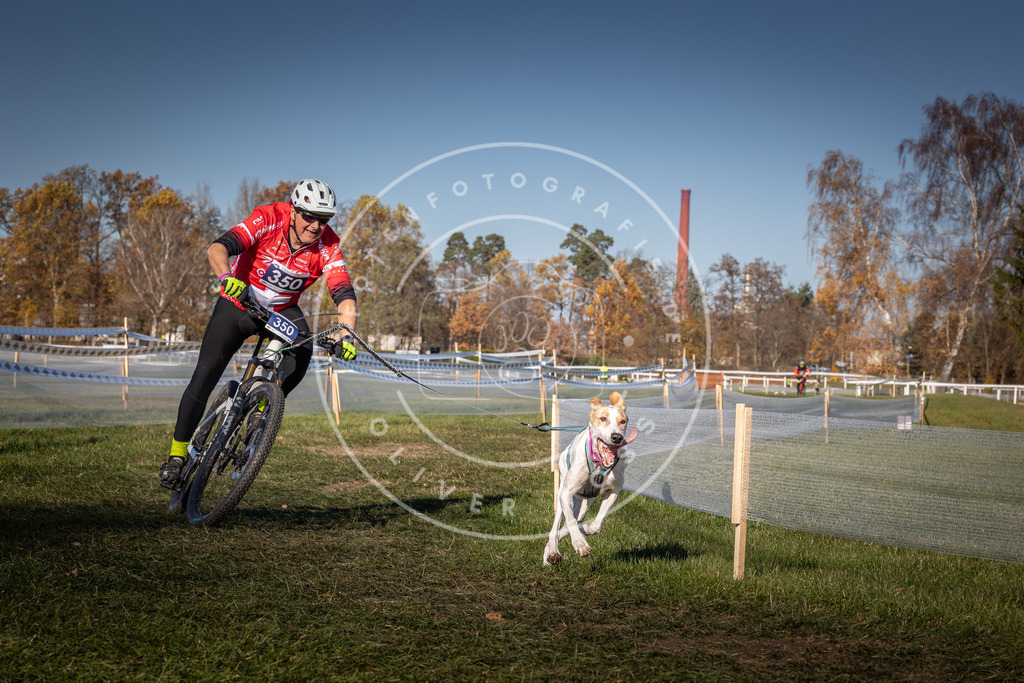 CaniXpix_0L8A6055 | Hundefotografie, Tierfotograf, Pfotenfotografie, Fotoshooting Hund, Hunde Portrait, Hundesport, Hundeportraits, Heideshooting, Hunde, Sportfotograf, Hundefotograf, Turnierhundsport, THS,  - Realisiert mit Pictrs.com