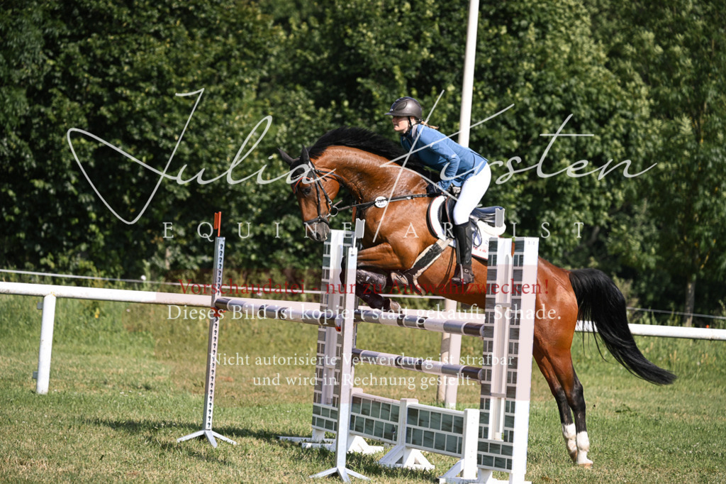 DSC_1138 | Pferde- und Turnierfotografie in Westsachsen. Pferdeportraits, Auftragszeichnungen und intuitive Kunst.