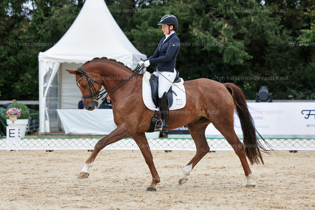 04_1-112-Dressur M__ -StoibPH-StoibPH-2664 | working equitationturnier fotograf videograf stoibphotography marixx film working equitation deutschland reitsport turnierfotografie eventfotografie equestrian events