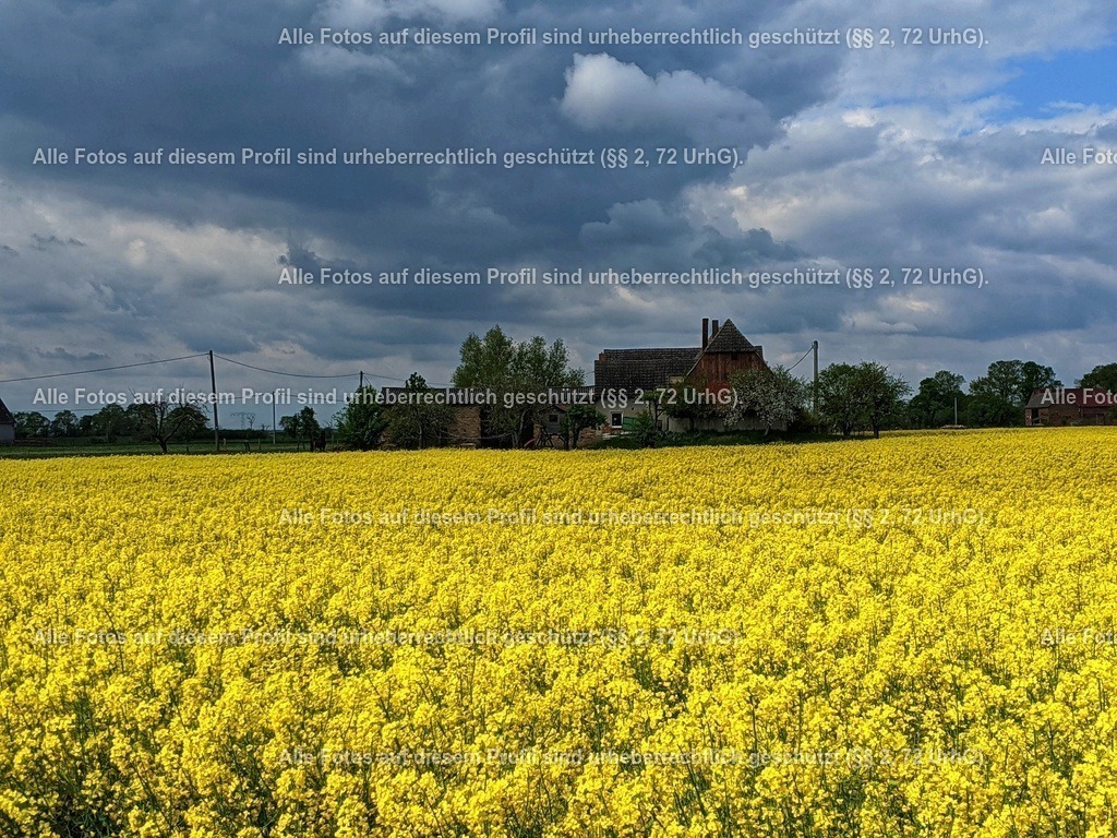 IMG_20200503_112218-01 | krollfotografie - Realisiert mit Pictrs.com