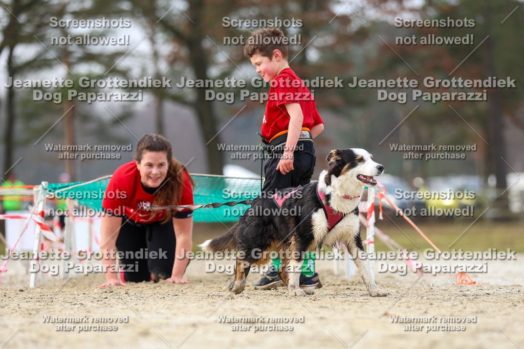 Dog Paparazzi - Strongdog North Mrz26-4220 | Dog Paparazzi Jeanette Grottendiek Fotografie & Videografie - Realisiert mit Pictrs.com