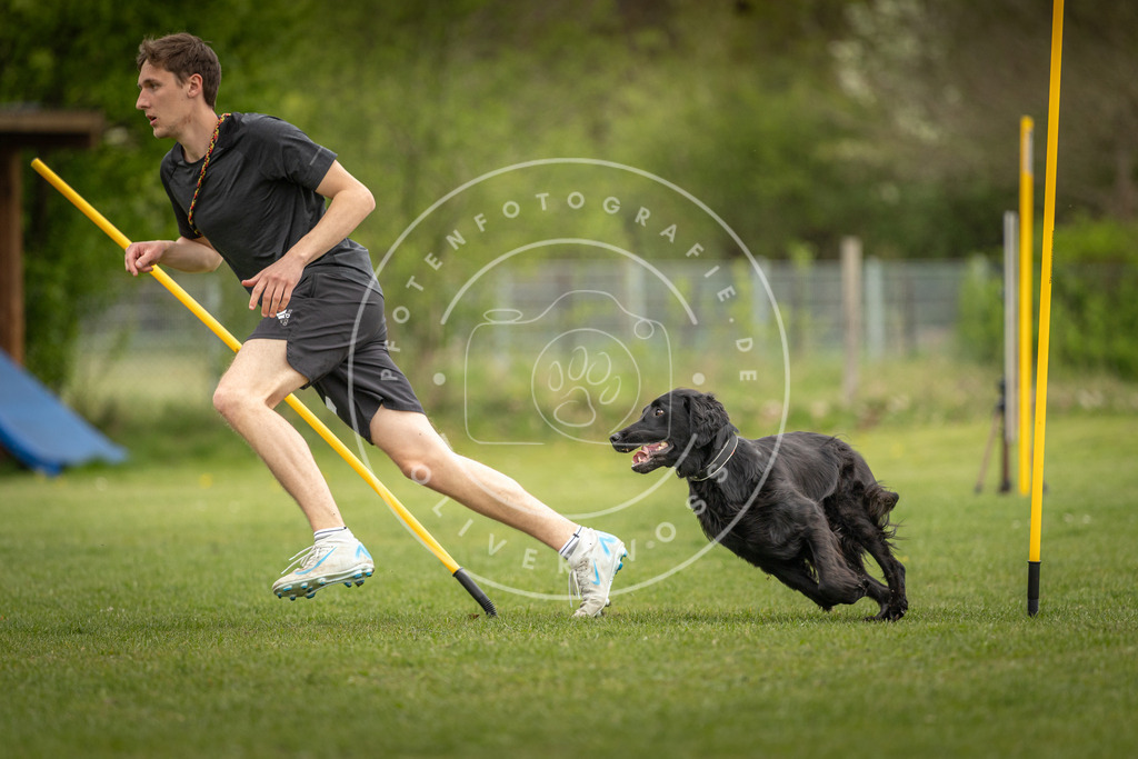 Pfotenfotografie_DV3A9775 | Hundefotografie, Tierfotograf, Pfotenfotografie, Fotoshooting Hund, Hunde Portrait, Hundesport, Hundeportraits, Heideshooting, Hunde, Sportfotograf, Hundefotograf, Turnierhundsport, THS,  - Realisiert mit Pictrs.com