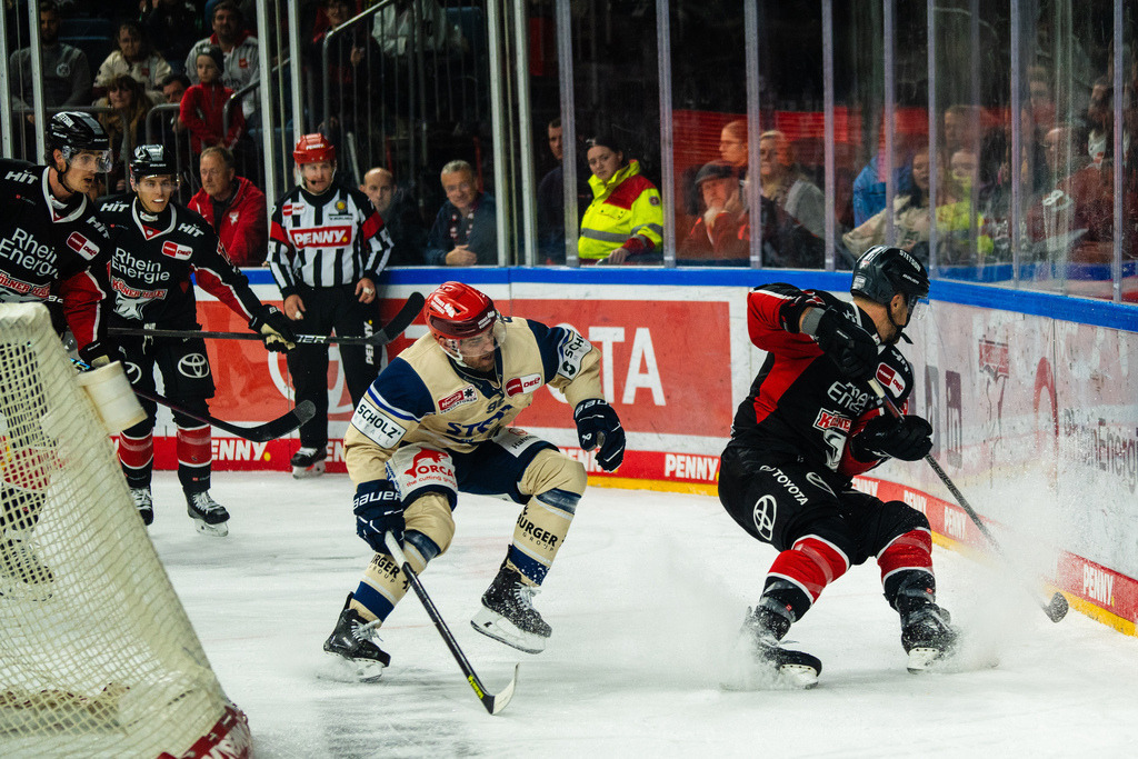 DEL, Deutsche Eishockey Liga Saison 2024/25, 8. Spieltag: Kölner Haie gegen Schwenninger Wild Wings | 11.10.2024, DEL, Deutsche Eishockey Liga Saison 2024/25, 8. Spieltag: Kölner Haie gegen Schwenninger Wild Wings - Realisiert mit Pictrs.com