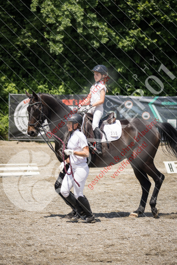 IMG_3537 | Sport-, Event- und Tierfotos in Profiqualität. Einfach auswählen, bestellen und herunterladen. Dein Moment – perfekt festgehalten.
